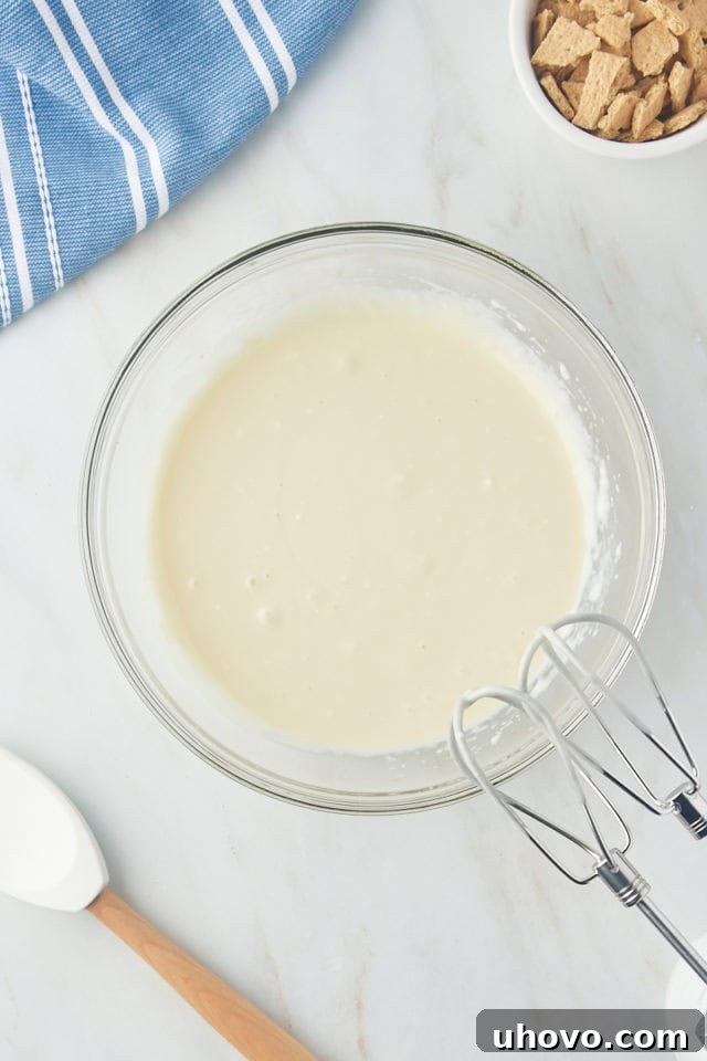 Smooth, well-combined no-churn ice cream base mixture in a glass bowl, before the whipped cream is added.