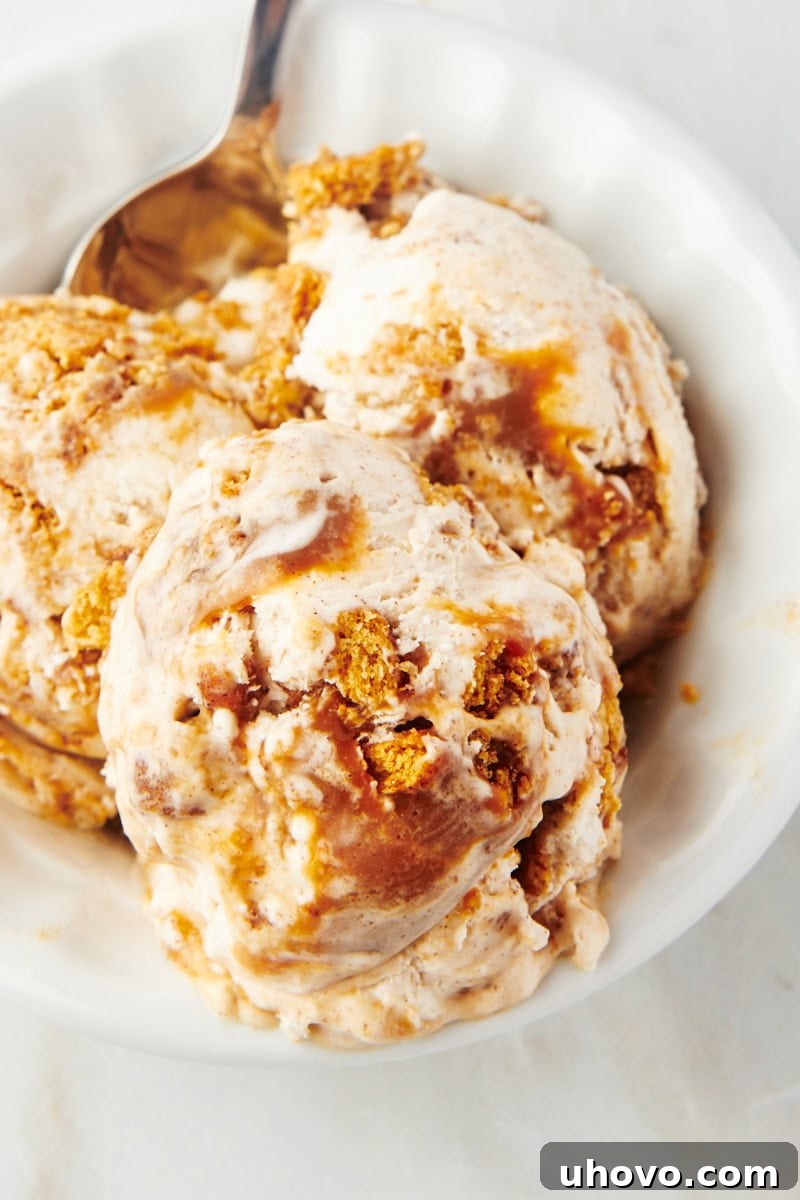 Scoops of churro ice cream in a bowl, garnished with cinnamon and a spoon