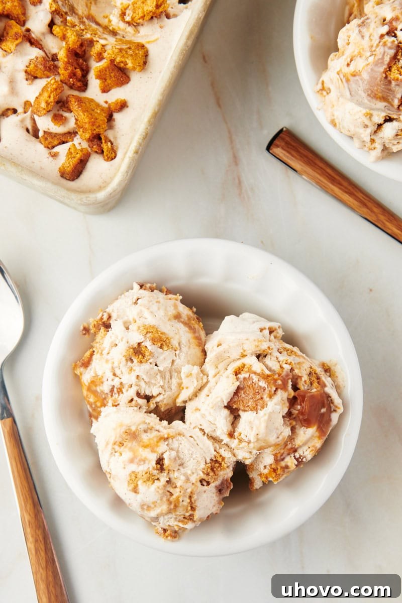 Overhead view of a bowl of no-churn churro ice cream, showing the creamy texture and inclusions