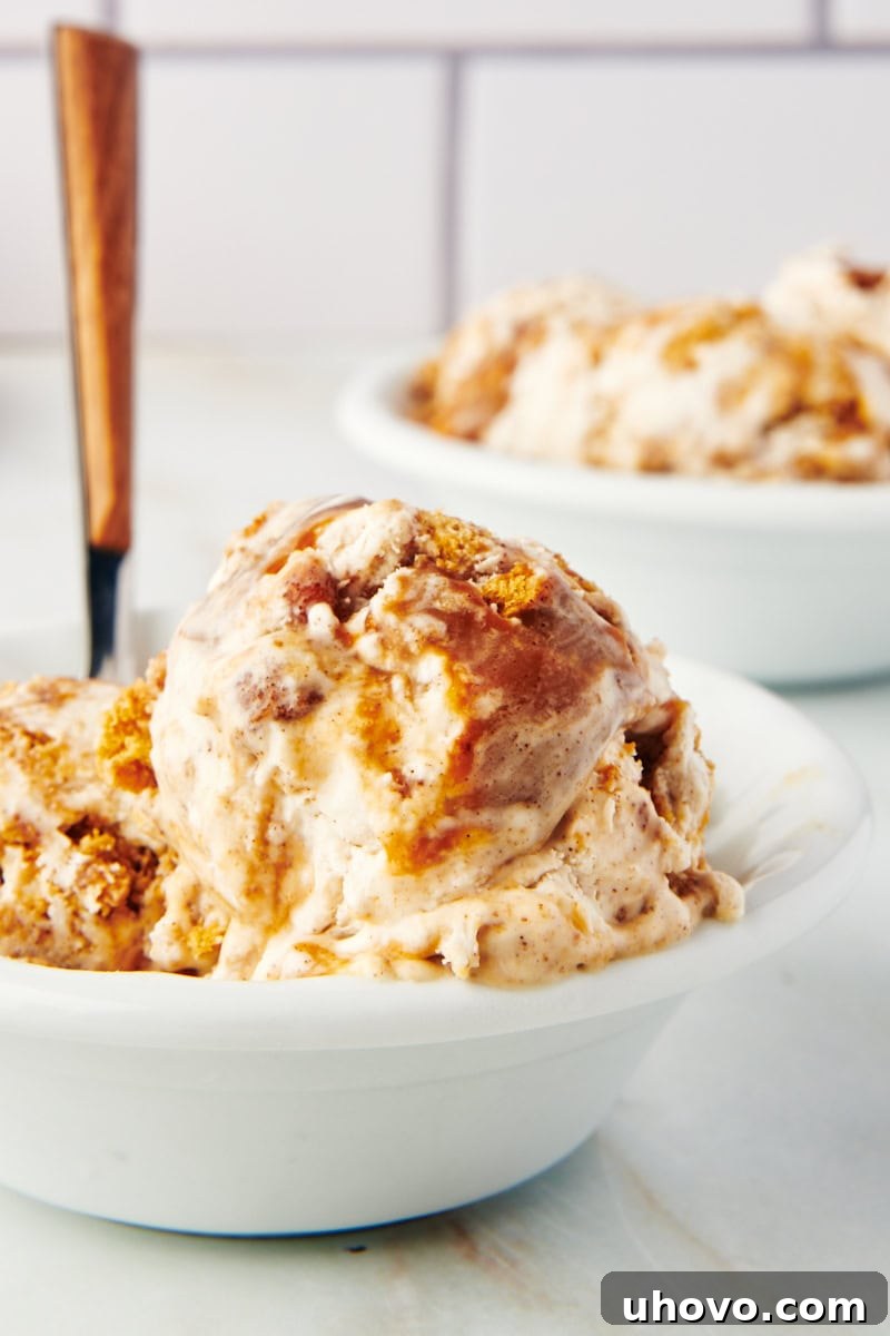 Bowl of churro ice cream with a spoon, ready to be eaten