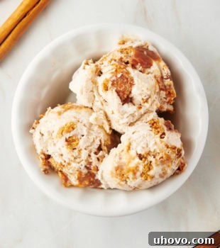 Overhead view of churro ice cream in bowl
