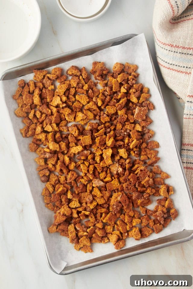 Overhead view of cinnamon-sugar graham cracker bits spread on a parchment-lined baking sheet
