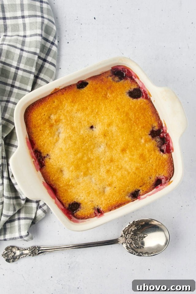 Overhead view of a freshly baked blackberry cobbler, golden brown and bubbly, just out of the oven, with steam gently rising, indicating its perfect readiness.