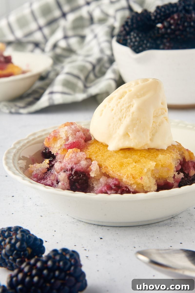 A generous serving of warm blackberry cobbler in a white bowl, exquisitely topped with a large scoop of melting vanilla ice cream, promising a delicious spoonful.