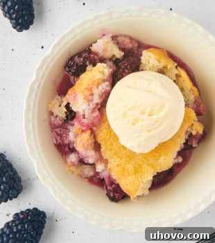 A beautifully presented blackberry cobbler topped with a scoop of vanilla ice cream in a white bowl, ready to be served and enjoyed.