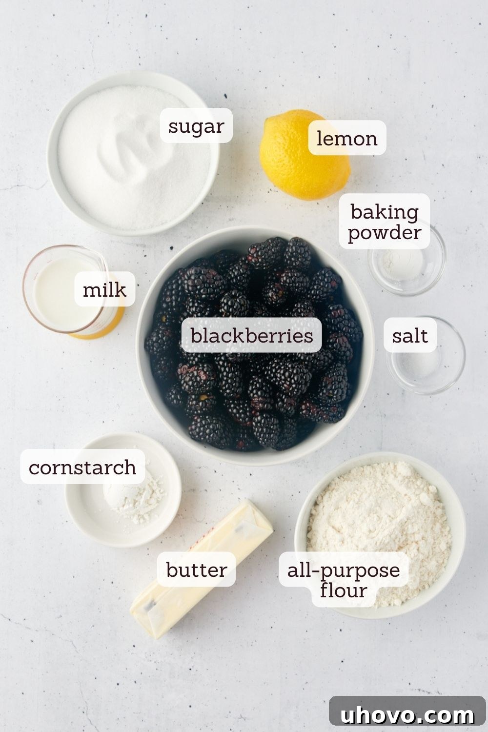 Overhead view of fresh blackberries, granulated sugar, lemon, cornstarch, all-purpose flour, baking powder, salt, unsalted butter, and milk laid out as ingredients for a delicious blackberry cobbler.