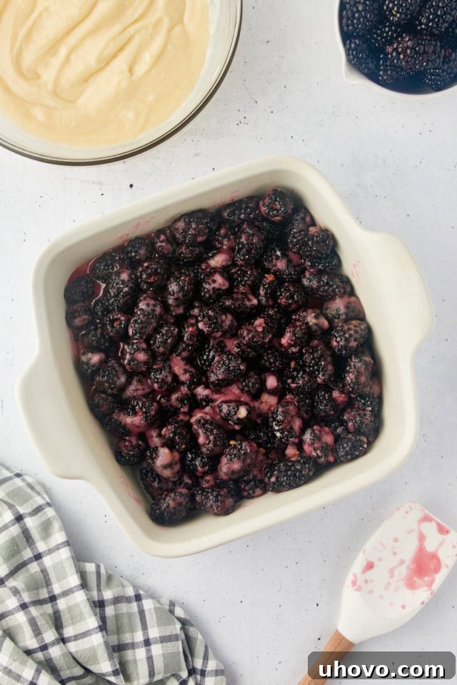 Overhead view of the vibrant blackberry cobbler filling, a mixture of berries, sugar, and lemon, evenly spread in a glass baking pan before adding the topping.