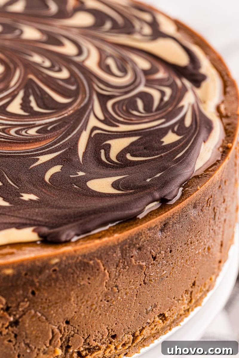 A magnificent whole chocolate peanut butter cheesecake resting on an elegant cake stand, showcasing its grandeur.