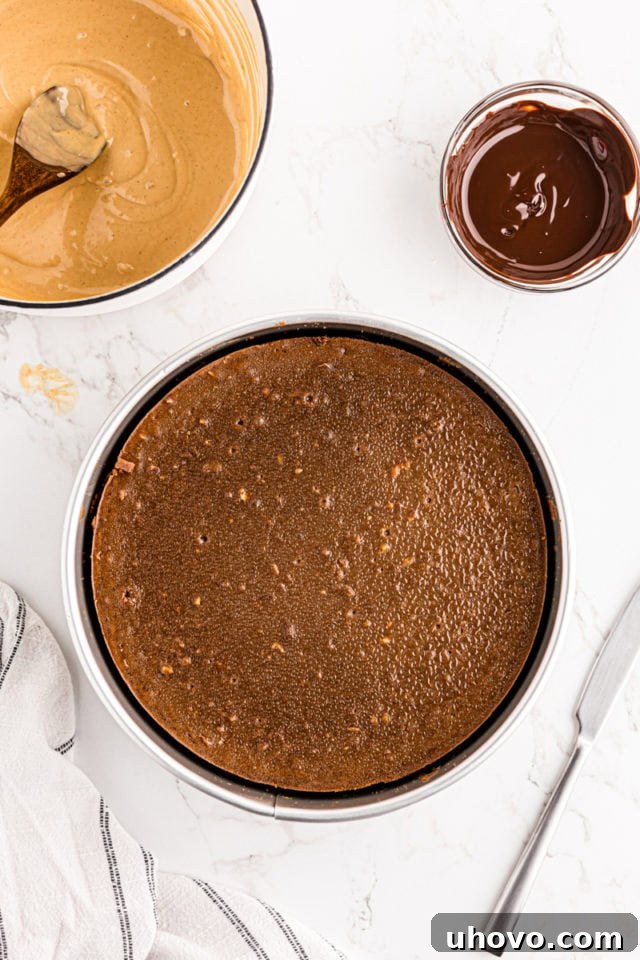A baked chocolate peanut butter cheesecake cooling in its springform pan within the oven, indicating the slow cooling process.