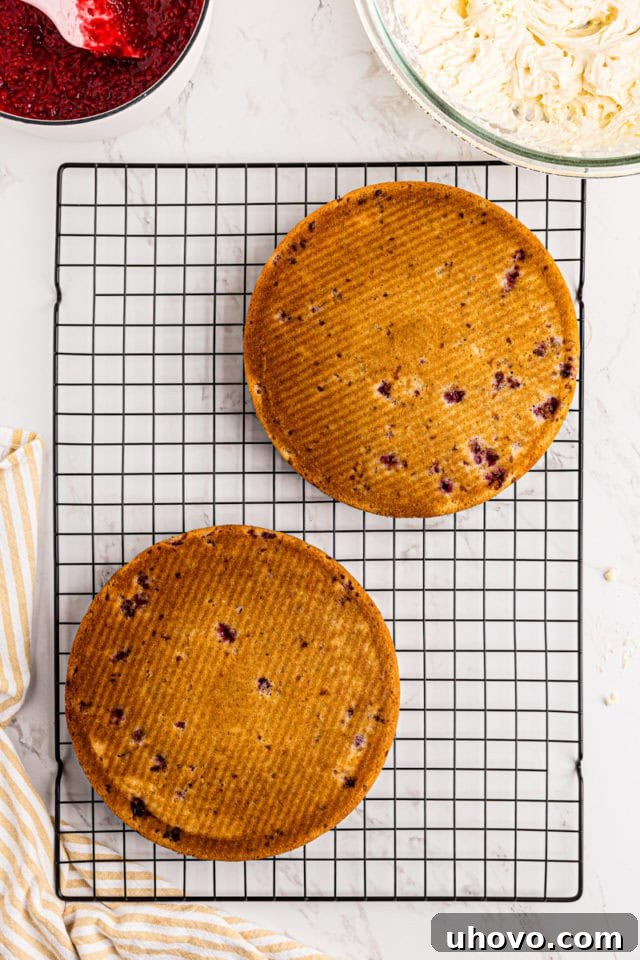 Overhead view of two baked lemon raspberry cake layers cooling on a wire rack.
