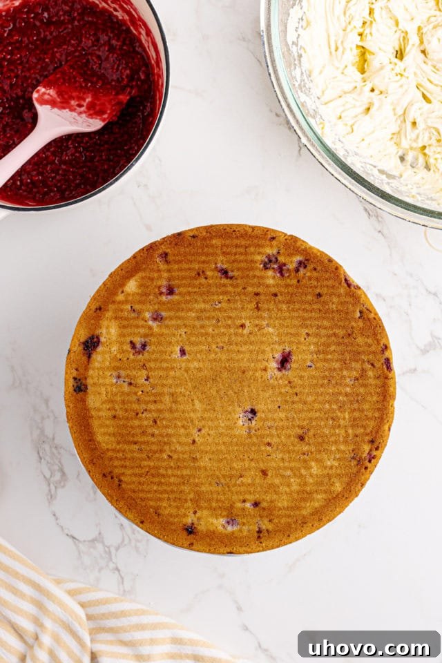 Overhead view of a single lemon raspberry cake layer placed on a white serving plate or cake stand.