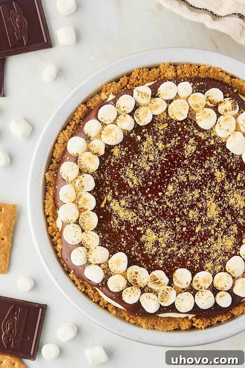 overhead view of s'mores pie in a metal pie pan