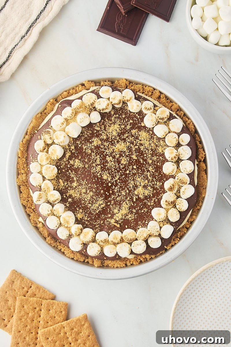 overhead view of s'mores pie on a marble countertop