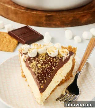 a slice of s'mores pie on a plate with the remaining pie in the background