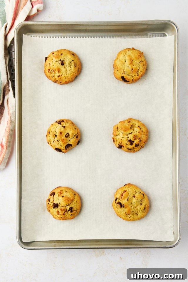 Overhead view of freshly baked thick chocolate chip cookies, golden-brown and still warm on a lined baking sheet.