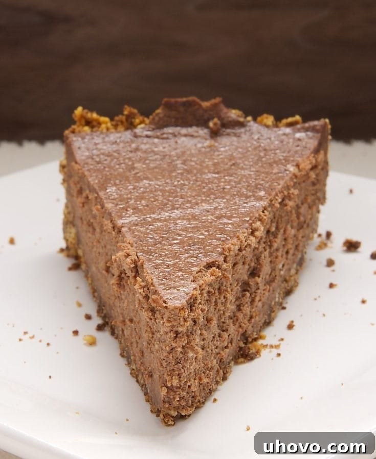 Decadent Black Hole Chocolate Cheesecake slice with a rich, dark chocolate interior and crumbly crust, garnished with cocoa powder.