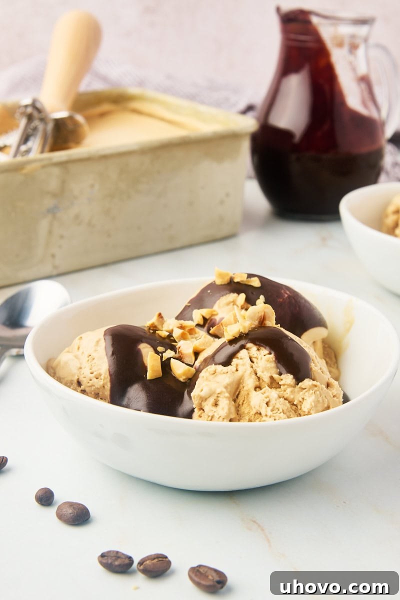 A inviting bowl of coffee ice cream generously topped with hot fudge sauce, with another bowl and a jar of fudge in the softly blurred background, suggesting indulgence.