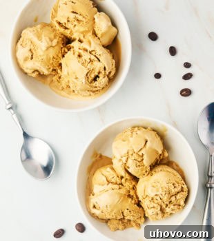 overhead view of two bowls of coffee ice cream