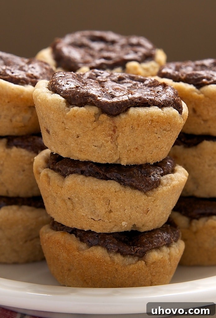 Delightful Peanut Butter Fudge Tartlets with a rich chocolate filling, perfect mini desserts for any occasion.