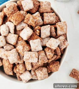 overhead view of muddy buddies in a white bowl