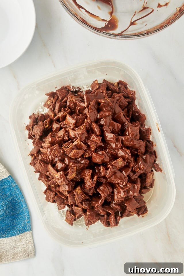 overhead view of muddy buddies mixture in a large resealable plastic bag with confectioners' sugar