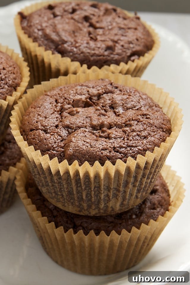 Stack of freshly baked Mocha Muffins on a white plate, showcasing a rich brown color and chocolate chips.