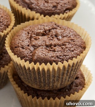 Mocha Muffins stacked on a plate, ready to be enjoyed.