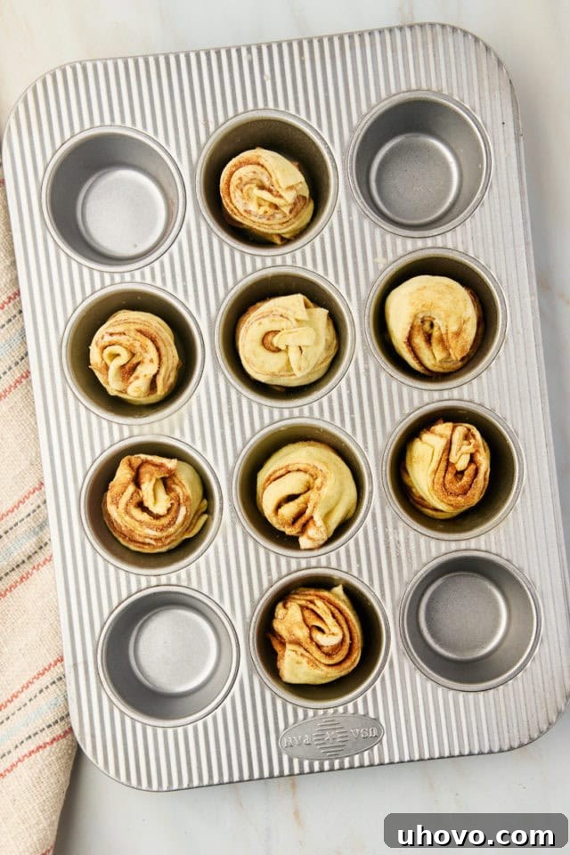 An overhead view of perfectly shaped cruffins nestled in a muffin pan, ready to be placed into the oven for baking.