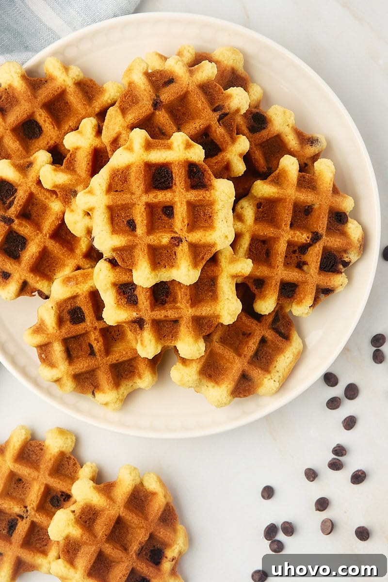 An overhead view of delightful chocolate chip waffle cookies, perfectly golden and studded with melty chips, arranged artfully on a white plate, highlighting a popular variation.