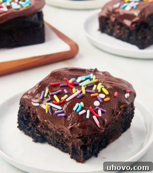 slice of one-bowl chocolate cake on a white plate with more cake in the background