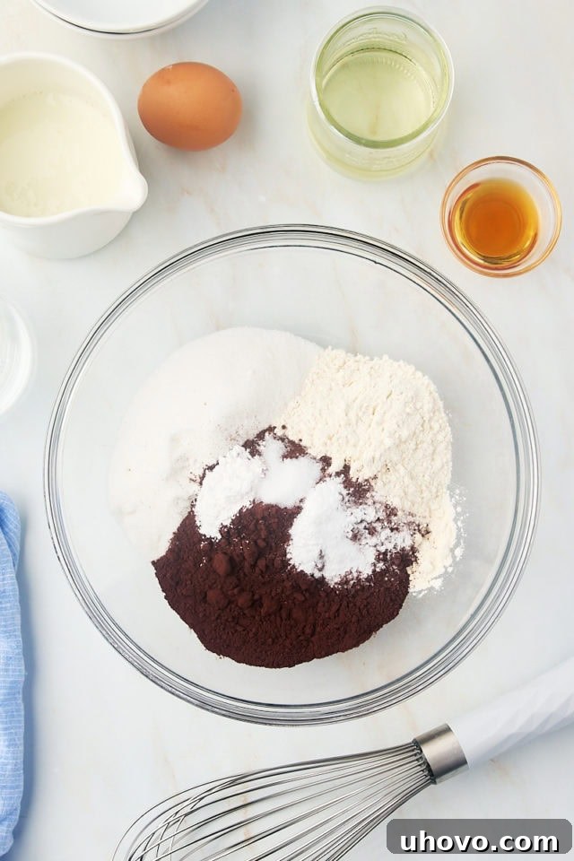 overhead view of sugar, flour, cocoa powder, baking powder, baking soda, and salt in a glass mixing bowl