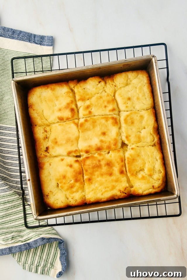Overhead view of freshly baked, golden-brown butter swim biscuits in a baking pan on a wire rack.
