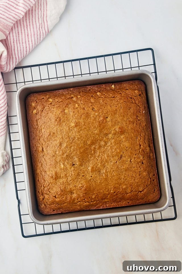 Overhead view of a freshly baked applesauce cake cooling in a square pan on a wire rack.