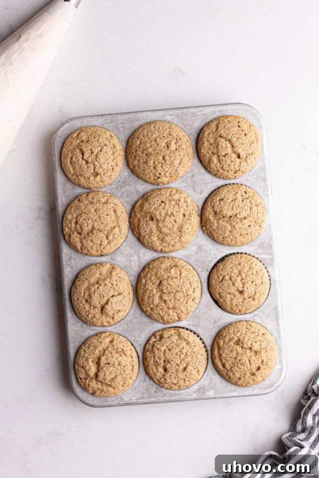 Overhead view of freshly baked, golden-brown chai spice cupcakes cooling in a muffin pan.