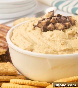 A bowl of creamy peanut butter cup dip, perfectly centered, surrounded by an array of tempting dippers including crunchy pretzels and various sweet cookies.