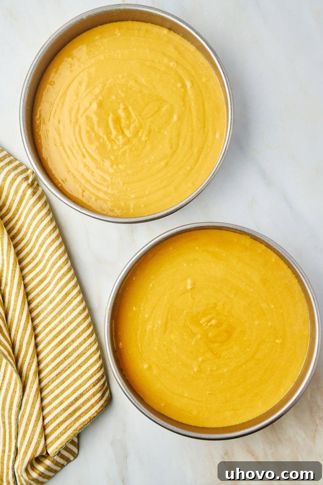 An overhead shot of dulce de leche cake batter evenly divided into two round cake pans, ready for baking, ensuring symmetrical layers.