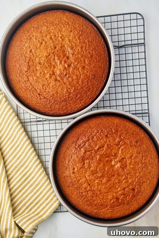 An overhead view of two freshly baked dulce de leche cake layers cooling on a wire rack, golden brown and perfectly risen, showcasing the result of successful baking.
