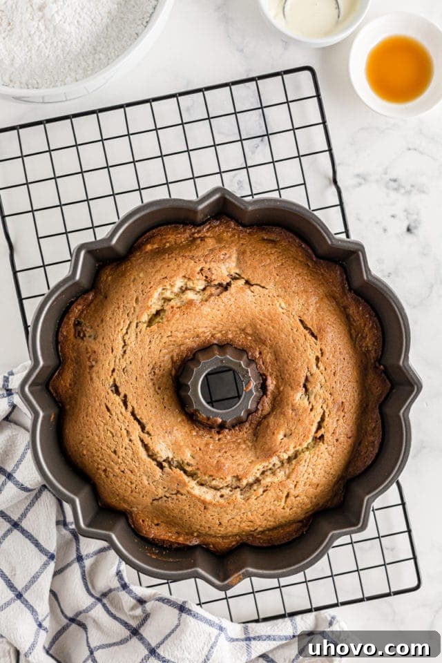 A perfectly baked Cinnamon Roll Cake, golden brown and still nestled within its Bundt pan, fresh from the oven.
