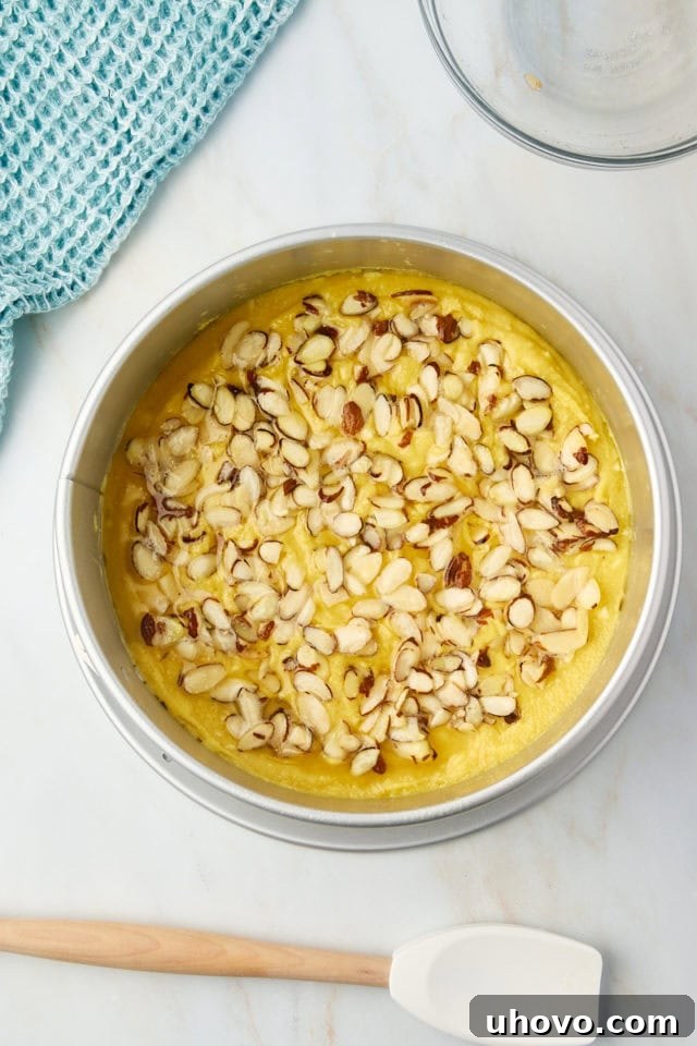 Overhead view of the almond torte batter in a springform pan, topped with the sliced almond mixture, ready to be placed into the oven for baking.