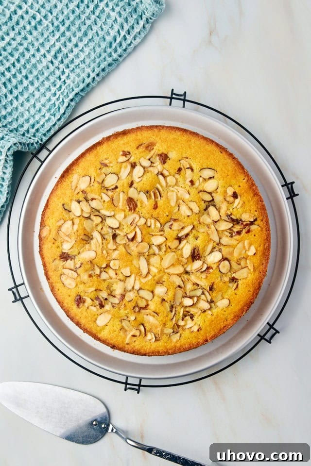 Overhead view of a freshly baked almond torte with a golden-brown crunchy topping, cooling on a wire rack after being removed from the oven.