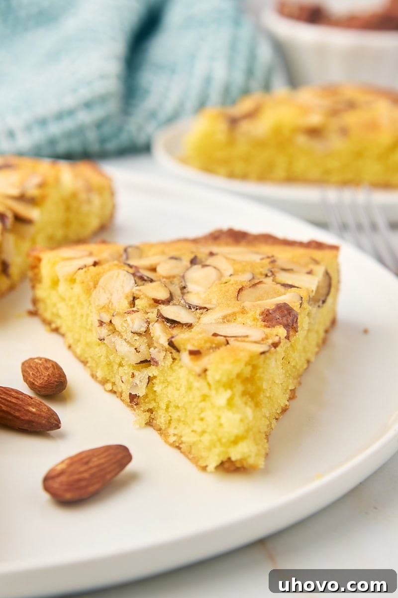 A perfectly portioned slice of golden-brown almond torte resting on a minimalist white plate, showcasing its appealing texture and topping.