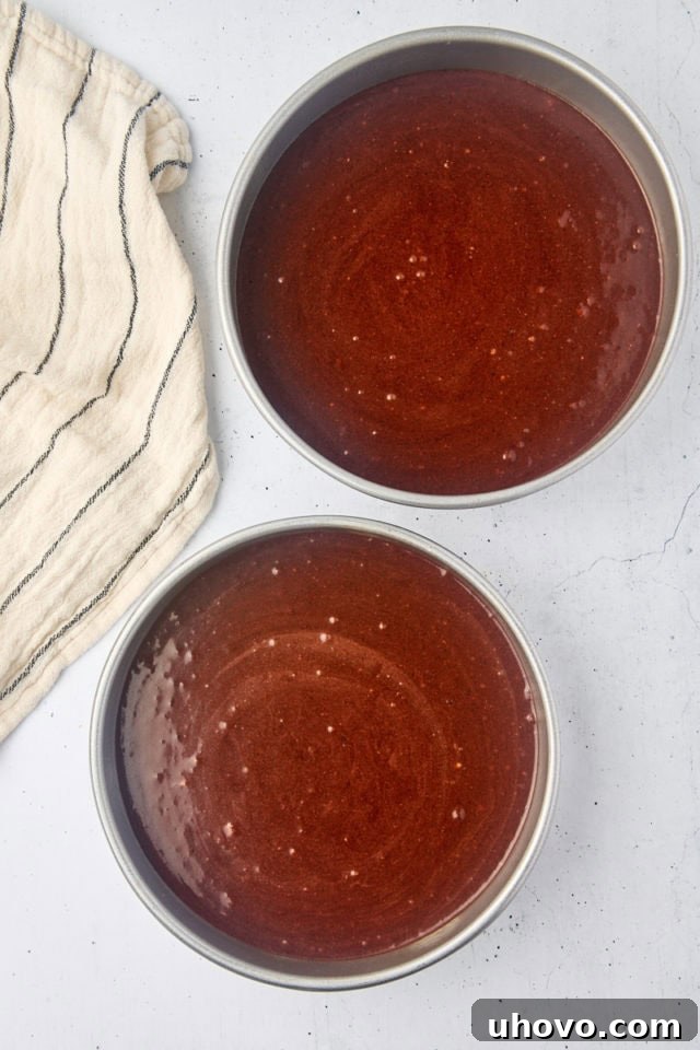 Overhead view of mahogany cake batter neatly divided into two round cake pans, ready for baking.