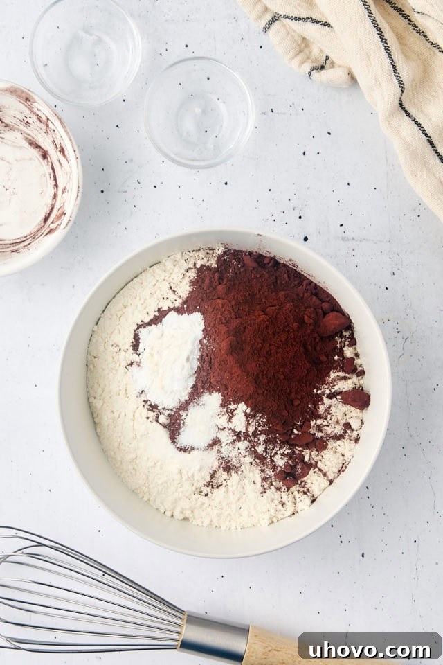Overhead view of cake flour, cocoa powder, baking soda, and salt mixed in a white bowl, ready for the next step.