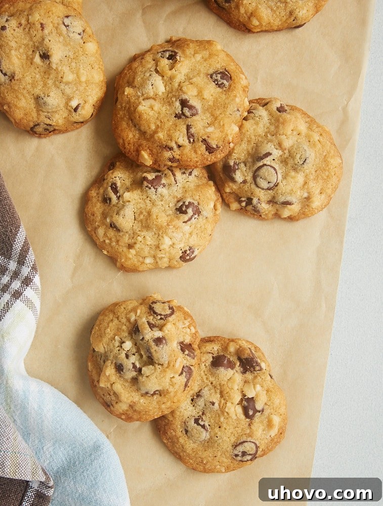overhead view of Hazelnut Chocolate Chip Cookies on parchment paper