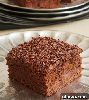 A side view of a brownie with a layer of chocolate cream cheese in the middle.