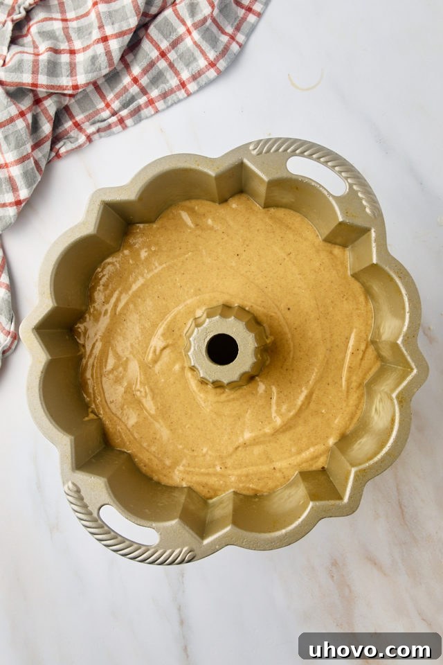 overhead view of apple cider donut cake batter in a Bundt pan ready to go into the oven