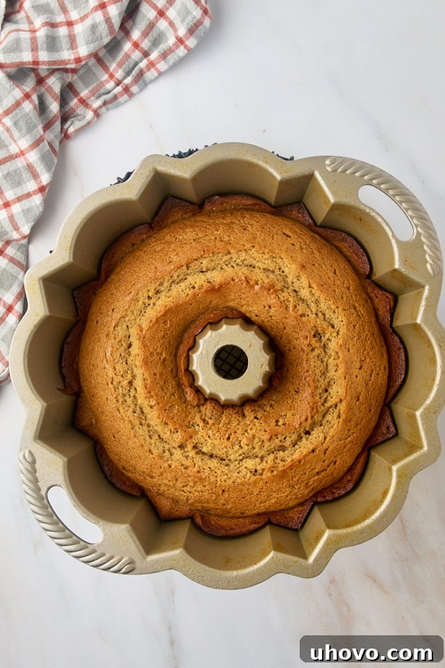 overhead view of freshly baked apple cider donut cake in a Bundt pan