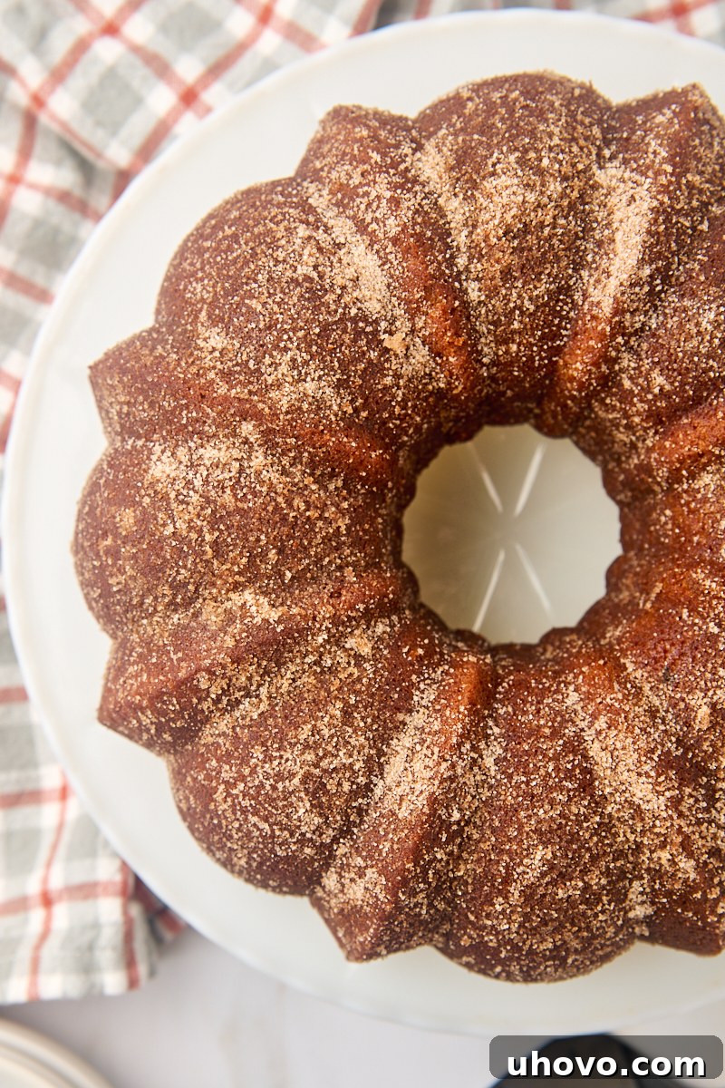 overhead view of apple cider donut cake on a white cake plate