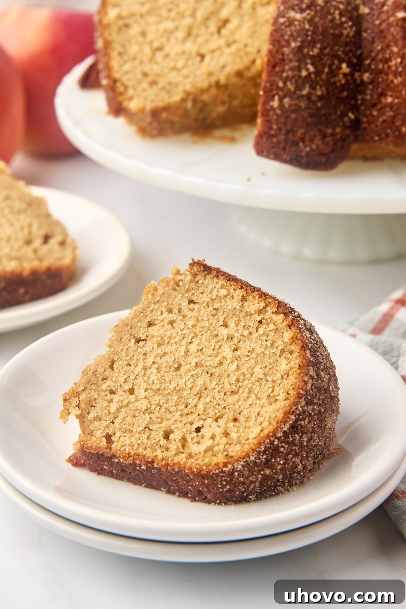 a slice of apple cider donut cake on a white plate with more cake in the background