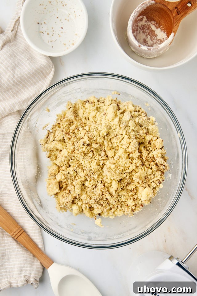 Close-up of the fully mixed snowball cookie dough, appearing crumbly but cohesive when pressed.